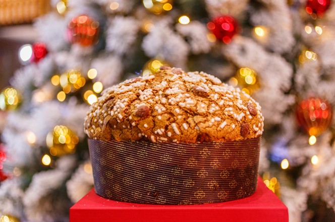 2135921741 panettone kolac ispred bozicnog drvca