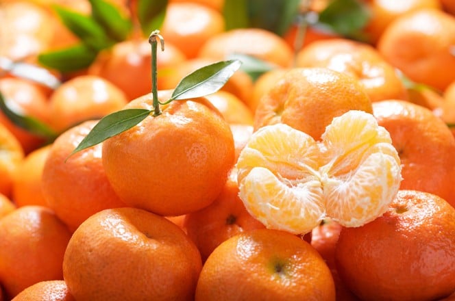 2200488117 svjeze ubrane mandarine