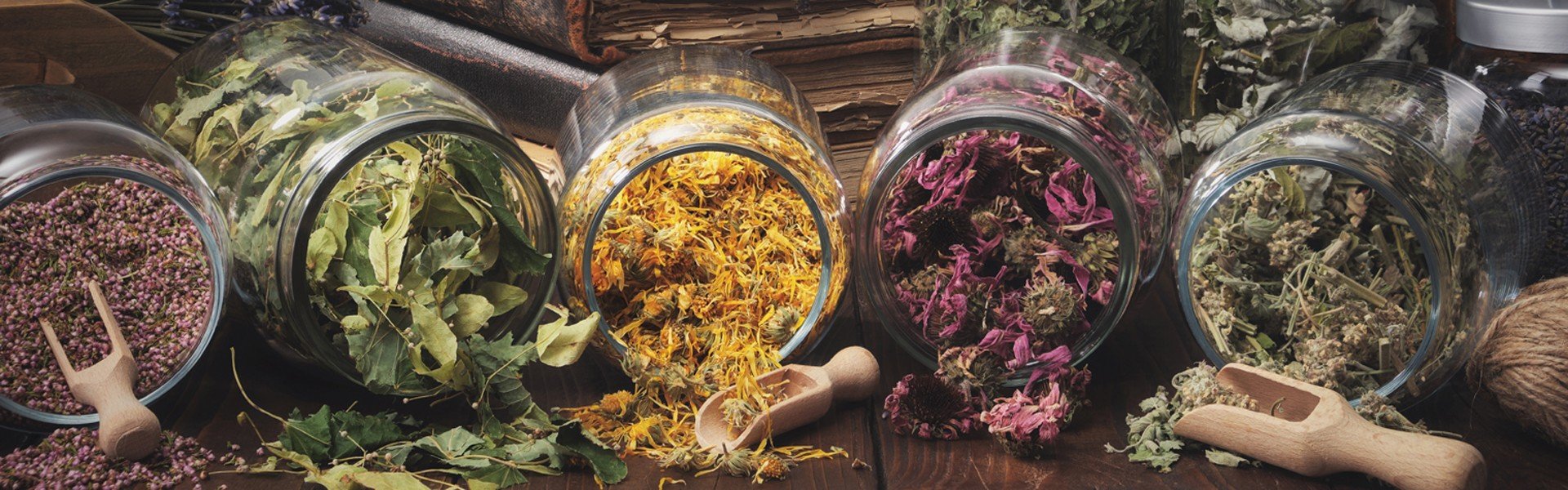 1863894802 Jars of dry medicinal herbs - heather, calendula, coneflowers, linden tree flowers, melissa, bunches of dry plants, old books on wooden table. Alternative medicine.