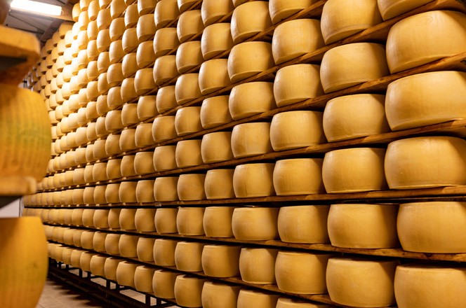 Parmigiano Reggiano sir na policama