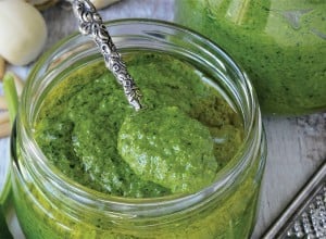 Pesto od špinata