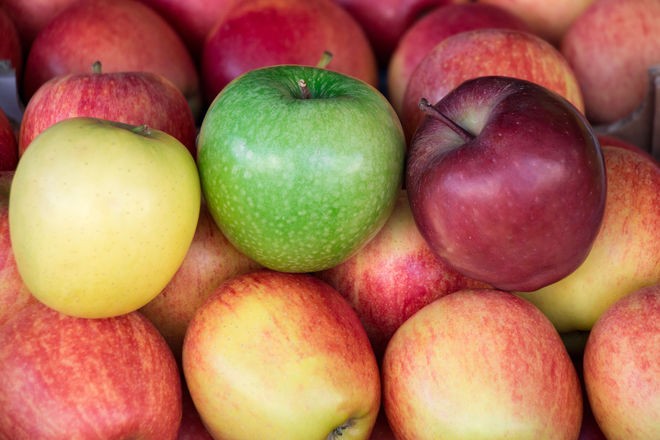 razlicite vrste jabuka
