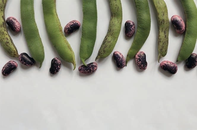 hanamame
