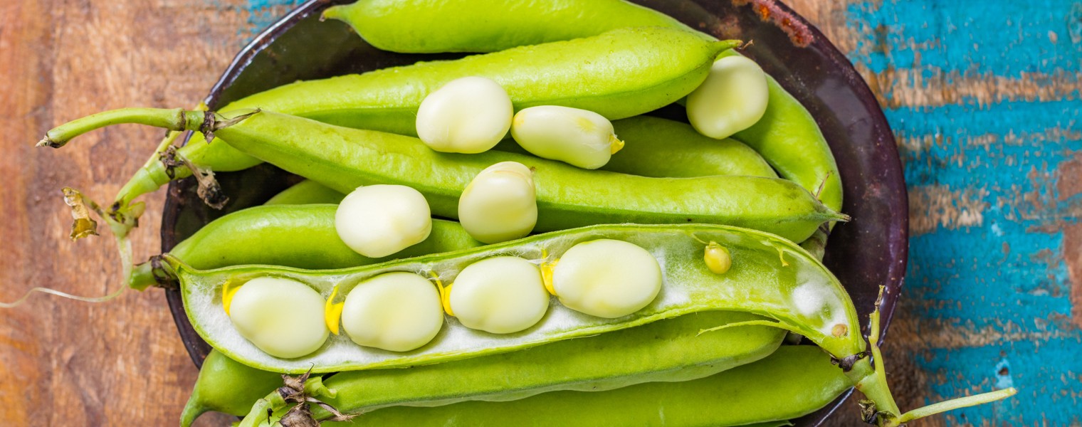 Healthy fresh legumes, new harvest on broad lima white big beans