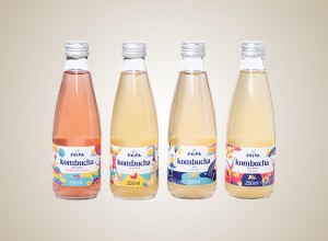 EKIPA Kombucha - proizvodi