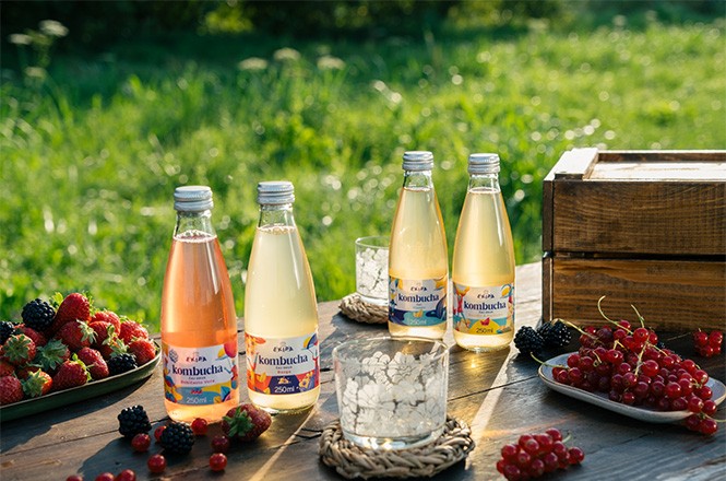 EKIPA Kombucha bio napitak četiri vrste